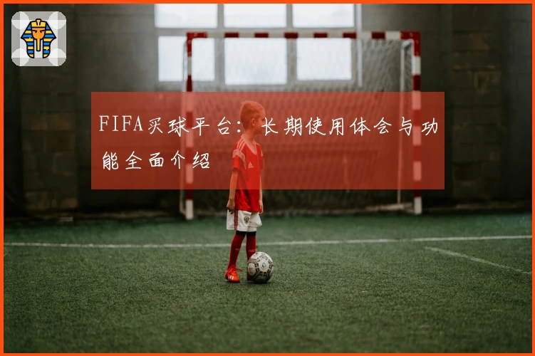 FIFA买球平台：长期使用体会与功能全面介绍