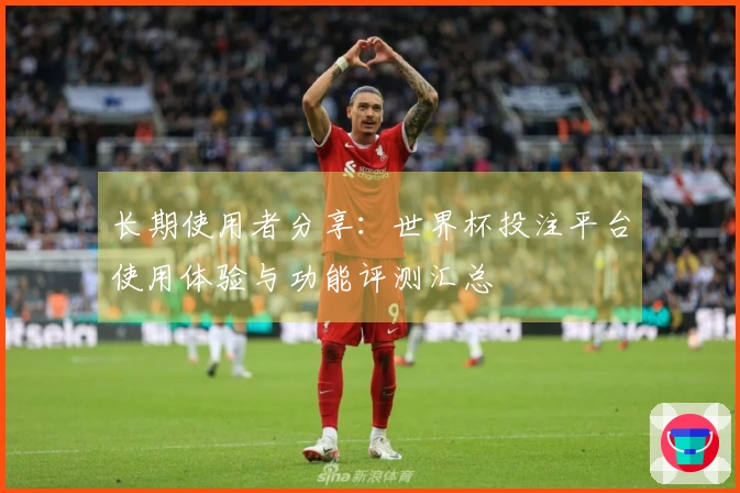 长期使用者分享：世界杯投注平台使用体验与功能评测汇总